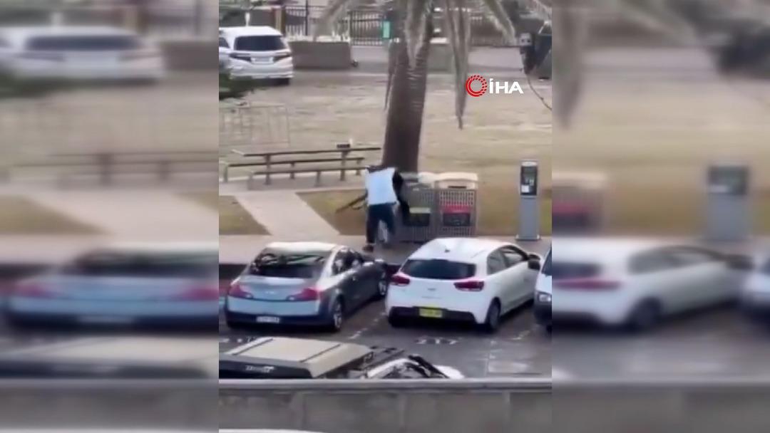 Avustralya, manav Ahmed El Ahmed i konuşuyor: Kendi canını hiçe saydı, kahraman ilan edildi 3