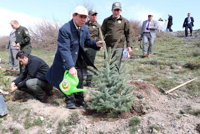 Yozgat’ta 700 fidan toprakla buluştu