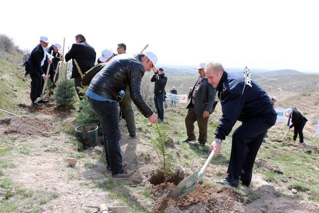 Yozgat’ta 700 fidan toprakla buluştu