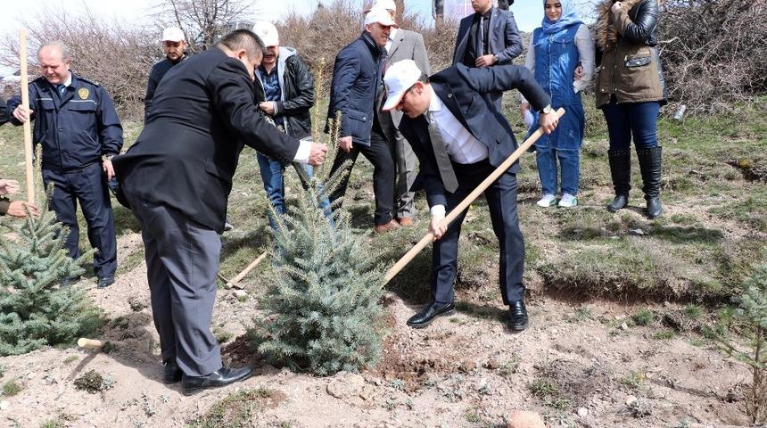 Yozgat’ta 700 fidan toprakla buluştu