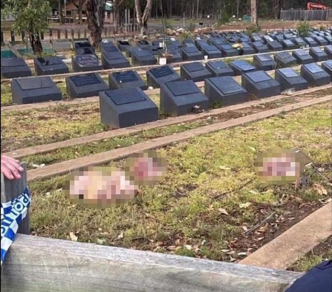 Müslüman mezarlarına çirkin saldırı! Plaj katliamından sonra gerilim arttı 3