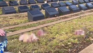 Müslüman mezarlarına çirkin saldırı!