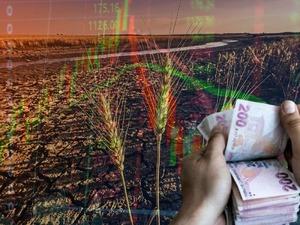 Kuraklık milyarderleri: Gıda enflasyonunun gizli kazananları ve yatırımcının radarındaki 3 kritik hisse