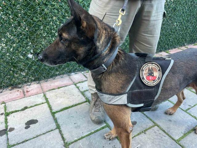 İzmir&rsquo;de tek operasyonda 3 milyon uyuşturucu hap ele ge&ccedil;ti: 46 tutuklama 3