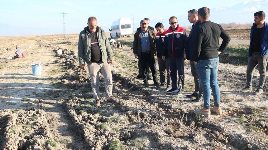 Erzincan&rsquo;da 111 bin tuz &ccedil;alısı toprakla buluşturuldu