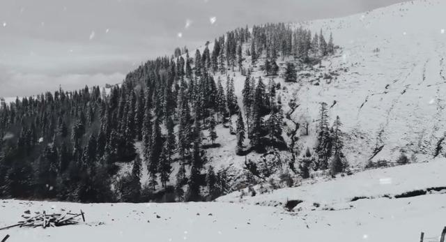 Düzce’nin yüksek kesimleri karla kaplandı 3