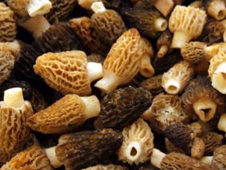 Bir kilosu 600 TL'den alıcı buluyor! G5