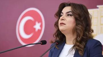 DEM Parti "acilen" istiyor: MHP'nin ardından bir parti daha 'süreç' raporunu sundu