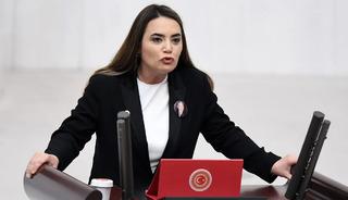 TBMM'de İYİ Parti–DEM Parti arasında Öcalan gerilimi