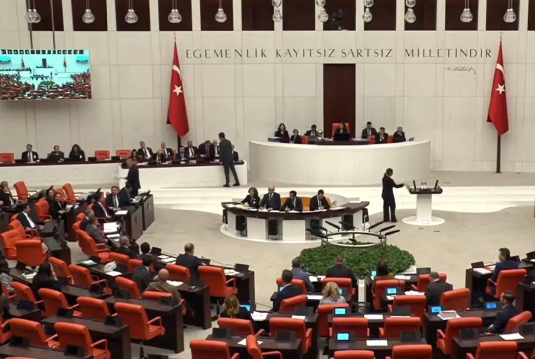 Ayyüce Türkeş ile DEM Partililer arasında Öcalan gerilimi: "Katil ve katil olarak geberecek" 4