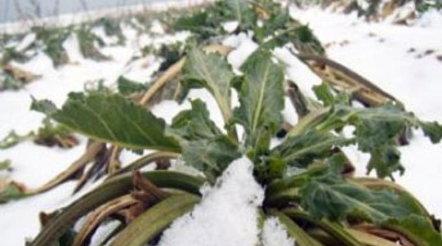 Don vurdu, vatandaşın cebi yanacak