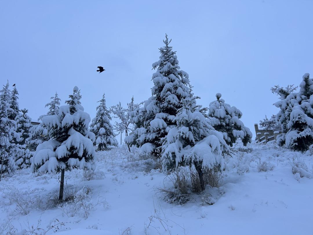 Bir kent beyaza büründü: Uçaklar inemedi! Meteoroloji den kuvvetli kar uyarısı 4