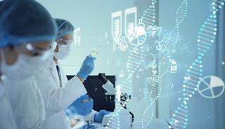 Japonya'da tarihi gelişme! 80 yıllık belirsizlik &ccedil;&ouml;z&uuml;ld&uuml;! 