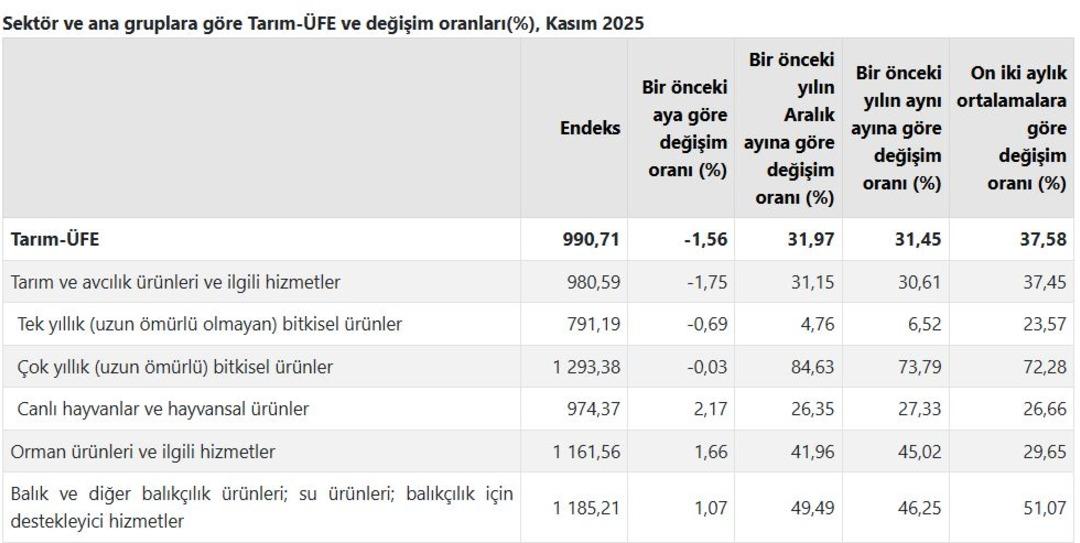 T&Uuml;İK duyurdu! &Ccedil;ift&ccedil;inin kasım ayı enflasyonu belli oldu 1