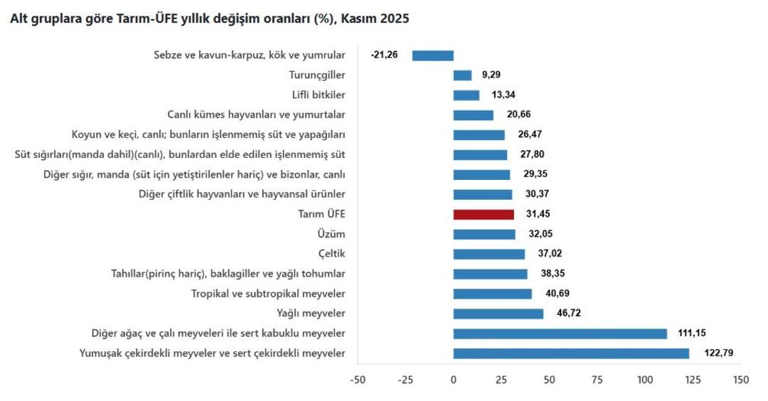 T&Uuml;İK duyurdu! &Ccedil;ift&ccedil;inin kasım ayı enflasyonu belli oldu 3