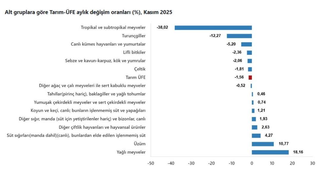 T&Uuml;İK duyurdu! &Ccedil;ift&ccedil;inin kasım ayı enflasyonu belli oldu 4