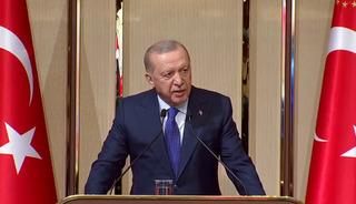 Erdoğan'dan Karadeniz'deki gerilimle ilgili a&ccedil;ıklama: "İkazlarımızı iletiyoruz"