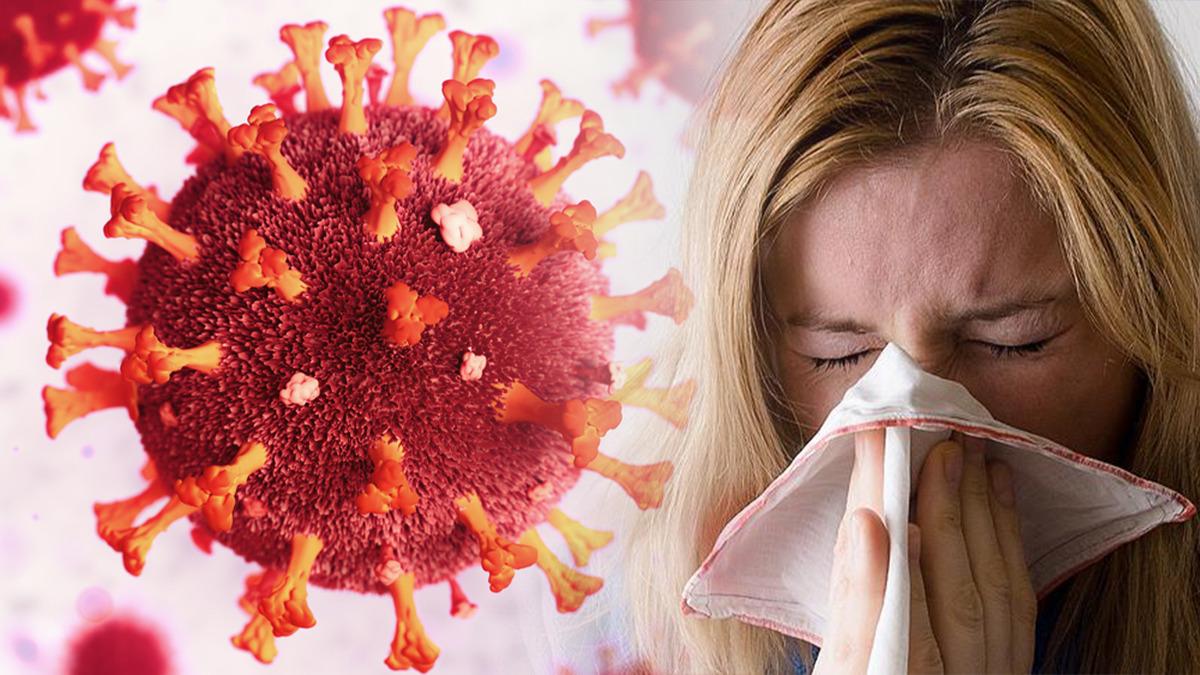 Mutasyona uğradılar: "Bu kış birden fazla virüs dolaşımda"