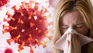 Mutasyona uğradılar: "Bu kış birden fazla vir&uuml;s dolaşımda"