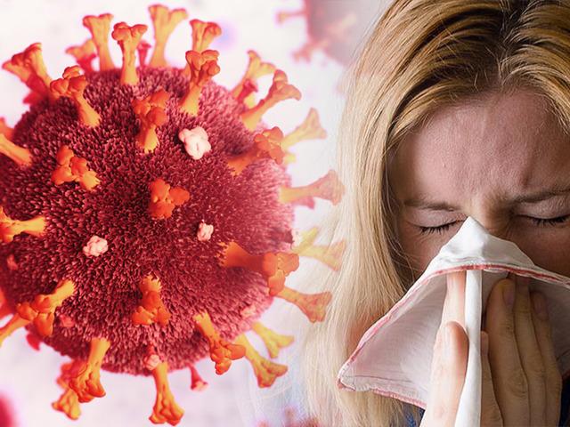 Mutasyona uğradılar: "Bu kış dolaşımda"