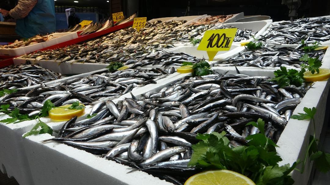Böylesini görmedim Bolluk sürüyor: Kaybolacak dendi ama olmadı 3