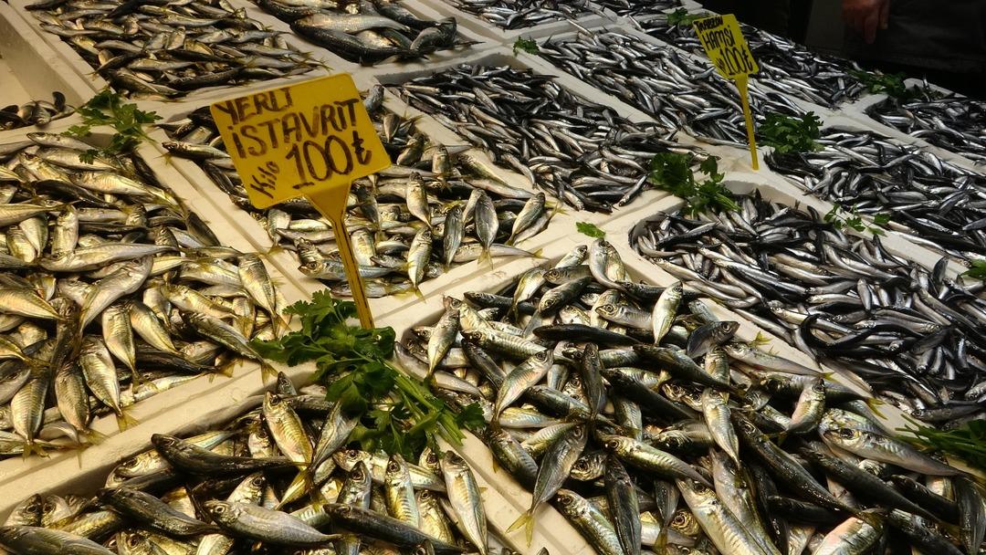 Böylesini görmedim Bolluk sürüyor: Kaybolacak dendi ama olmadı 2