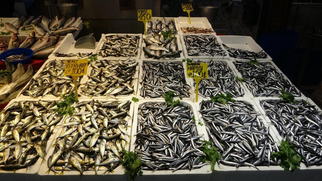 Böylesini görmedim Bolluk sürüyor: Kaybolacak dendi ama olmadı 5