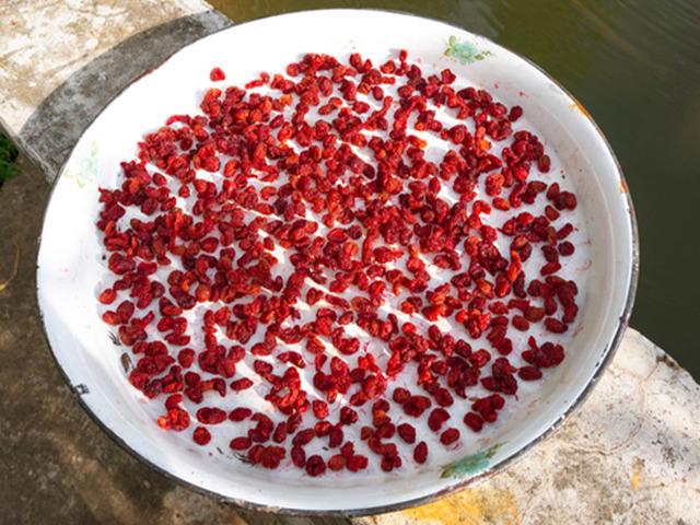 4 bin 500 yıllık kurutulmuş meyveler bulundu! 