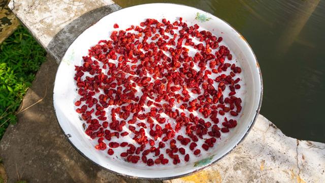 4 bin 500 yıllık kurutulmuş meyveler bulundu! 77 yıl sonra bir ilk gerçekleşti