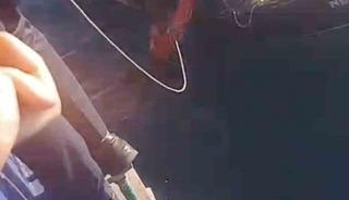 Feribottan atlayan kişiyi Gestaş personelleri ve balık&ccedil;ılar kurtardı