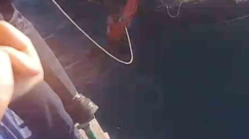 Feribottan atlayan kişiyi Gestaş personelleri ve balık&ccedil;ılar kurtardı