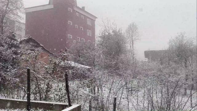 Ordu’nun yüksekleri beyaza büründü 1