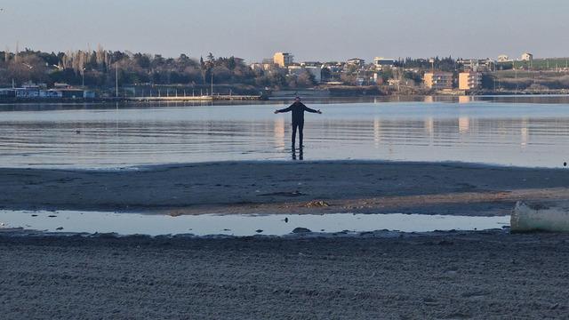 Tekirdağ'da tedirgin eden görüntü! 20 metre çekildi