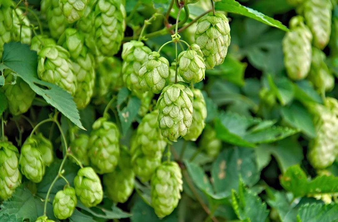 Türkiye nin daha doğru kullanılması gereken zenginliği 2