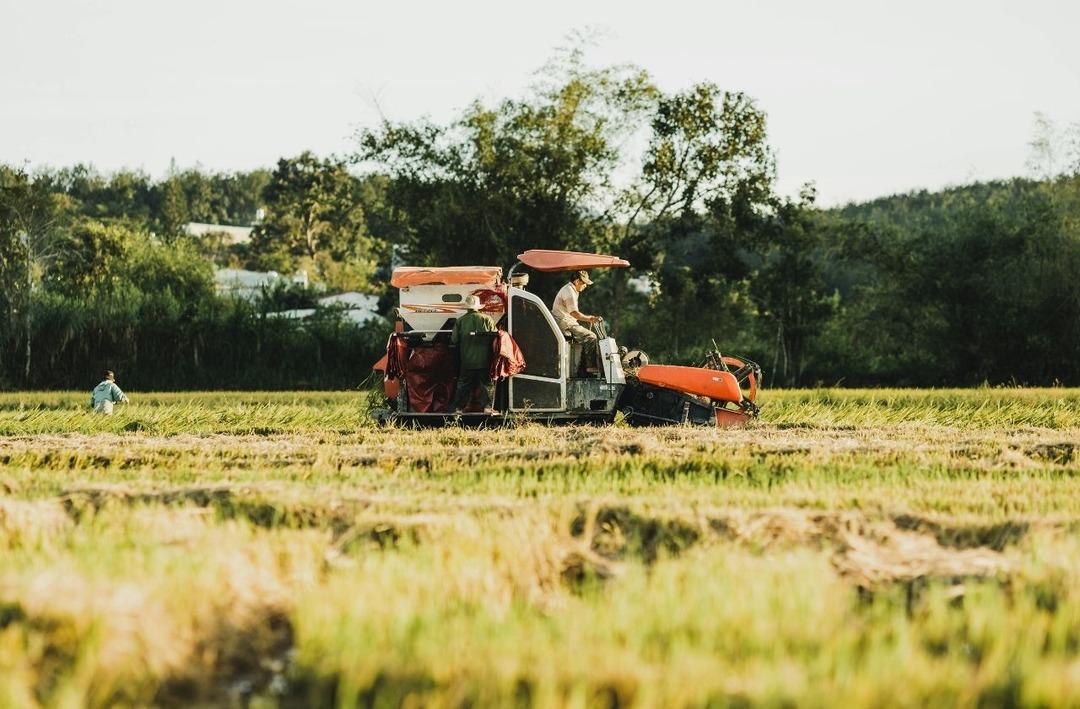 Türkiye nin daha doğru kullanılması gereken zenginliği 5