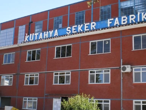 Bu Hisse'nin Sahiplerine Piyango Vurdu! Hisse Başı 5.5 TL Temettü Ödeyecek..