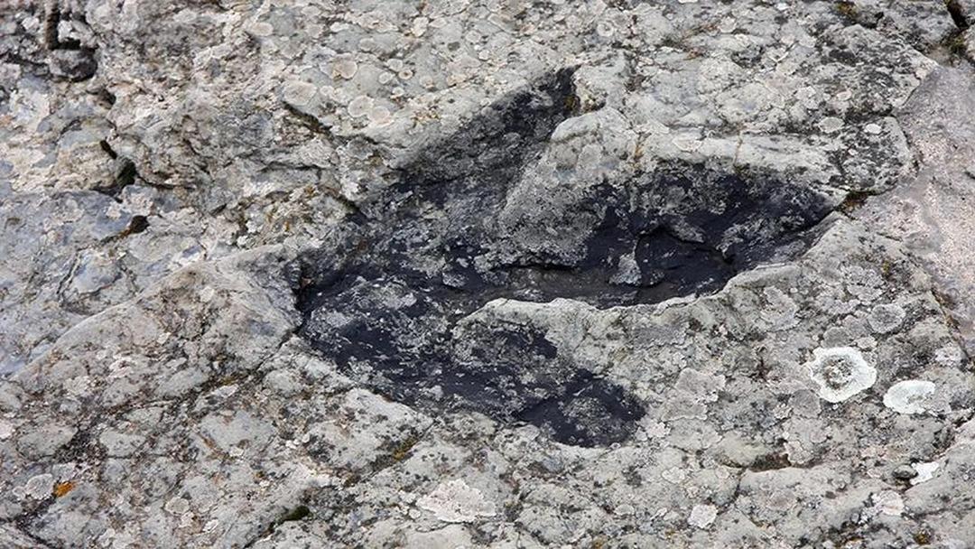 200 milyon yıldan eski! Binlerce dinozor ayak izi bulundu!  3