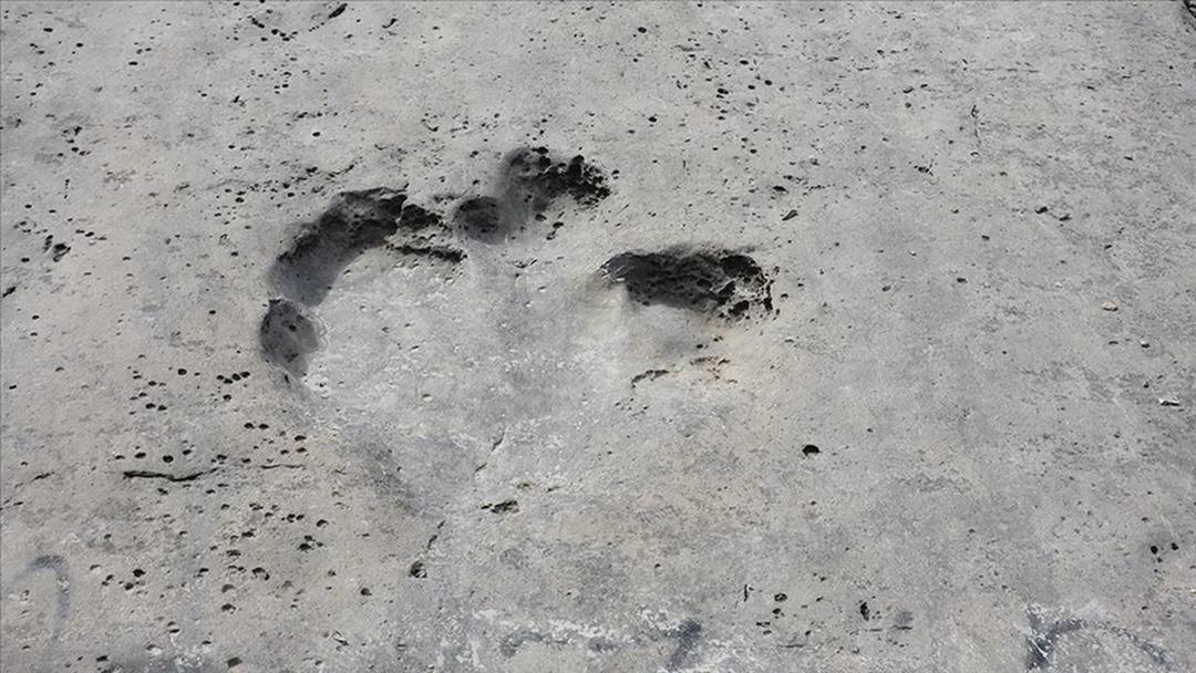 200 milyon yıldan eski! Binlerce dinozor ayak izi bulundu!  2