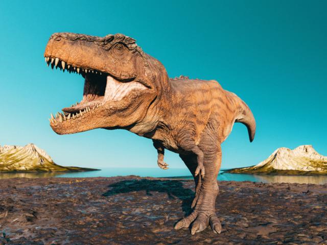 200 milyon yıldan eski! Binlerce dinozor ayak izi bulundu! 