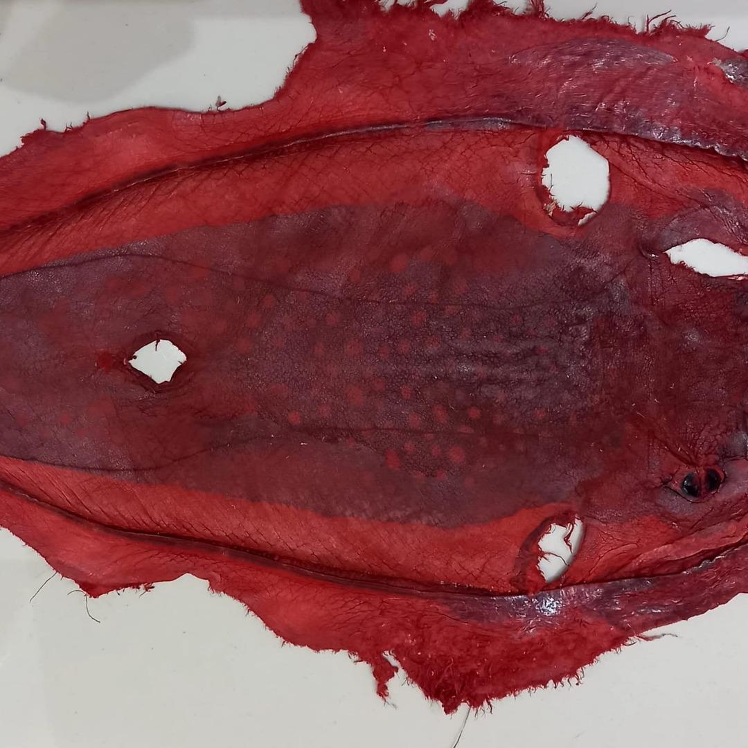 İzinsiz kullanılan Balon balığı projesi mahkemelik oldu 8