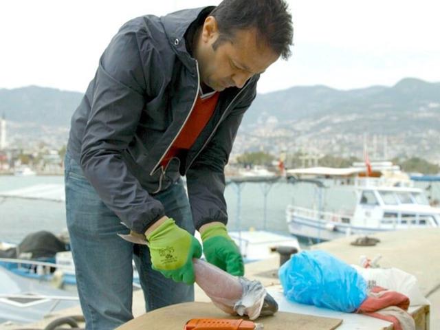 İzinsiz kullanılan Balon balığı projesi mahkemelik oldu