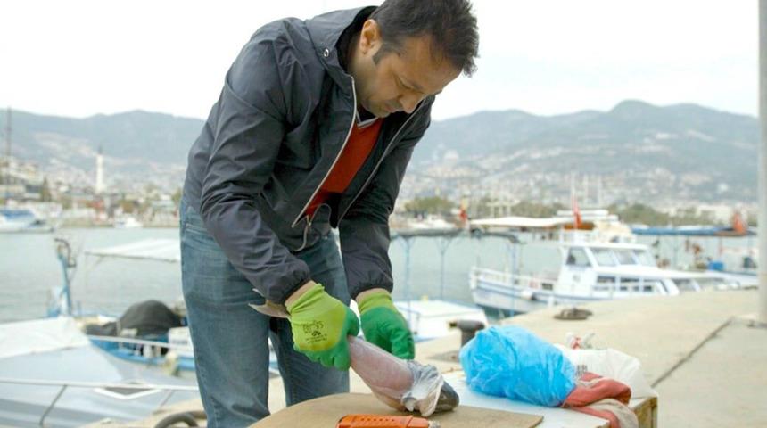 İzinsiz kullanılan Balon balığı projesi mahkemelik oldu