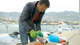 İzinsiz kullanılan Balon balığı projesi mahkemelik oldu