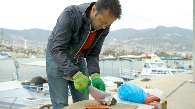 İzinsiz kullanılan Balon balığı projesi mahkemelik oldu