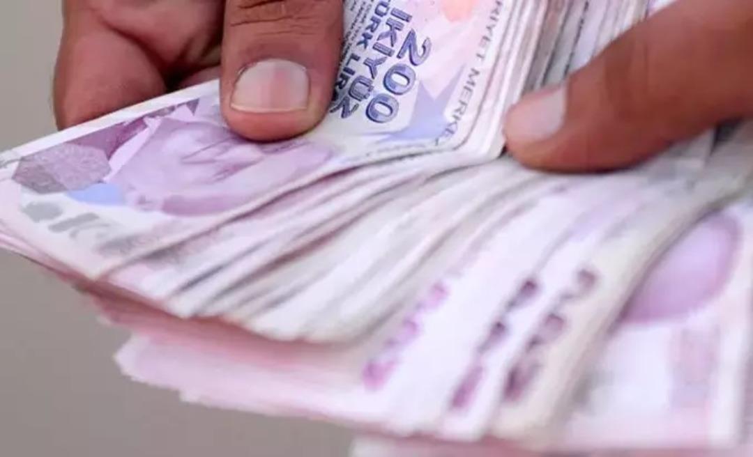 Bu kez banka para kaybetti! Çekilen kredinin tamamını geri ödediler 2