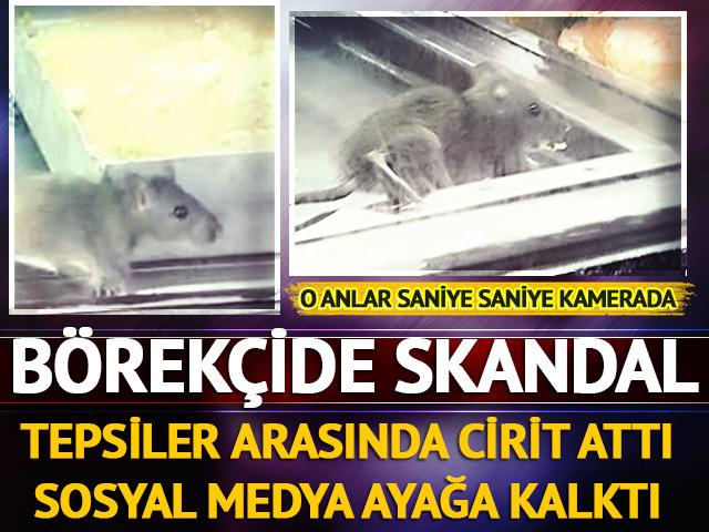İzmir'deki b&ouml;rek&ccedil;ide skandal g&ouml;r&uuml;nt&uuml;! Fare, tezgahta cirit attı