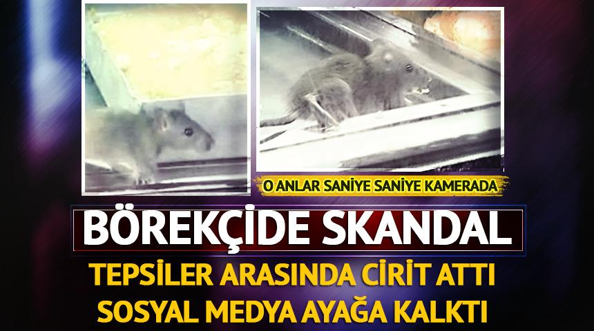 İzmir'deki b&ouml;rek&ccedil;ide skandal g&ouml;r&uuml;nt&uuml;! Fare, tezgahta cirit attı