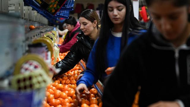 Türkiye'nin mandalina ihracatı rekora ulaştı