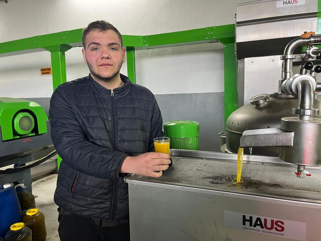 Kara meyve  sıvı altın a d&ouml;n&uuml;ş&uuml;yor! Denizli de zeytin hasadı 1