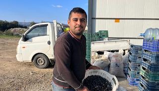 Kara meyve 'sıvı altın'a d&ouml;n&uuml;ş&uuml;yor! Denizli'de zeytin hasadı